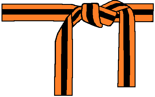 Kids Orange Belts | Academy of Classical Karate