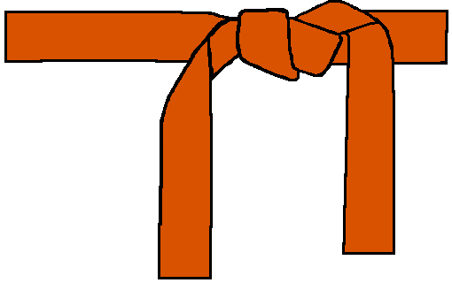 Orange Belt | Academy of Classical Karate